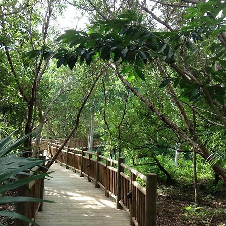Mayan Palace Vidanta Resort Riviera Maya Puerto Morelos Exteriör bild
