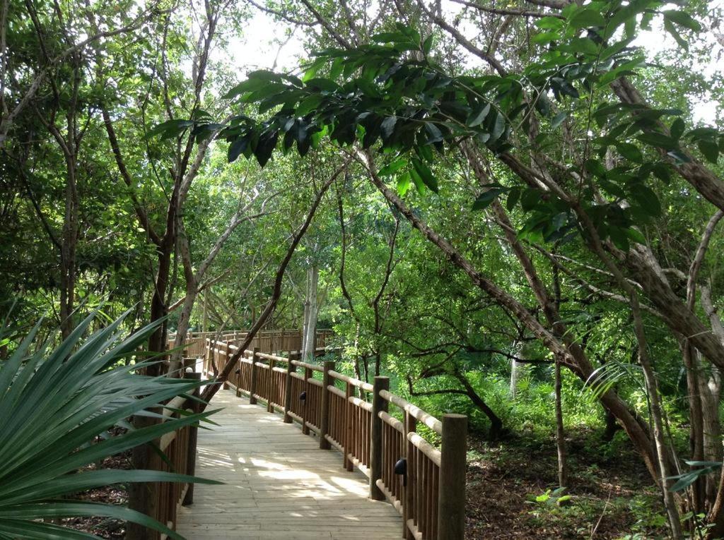 Mayan Palace Vidanta Resort Riviera Maya Puerto Morelos Exteriör bild